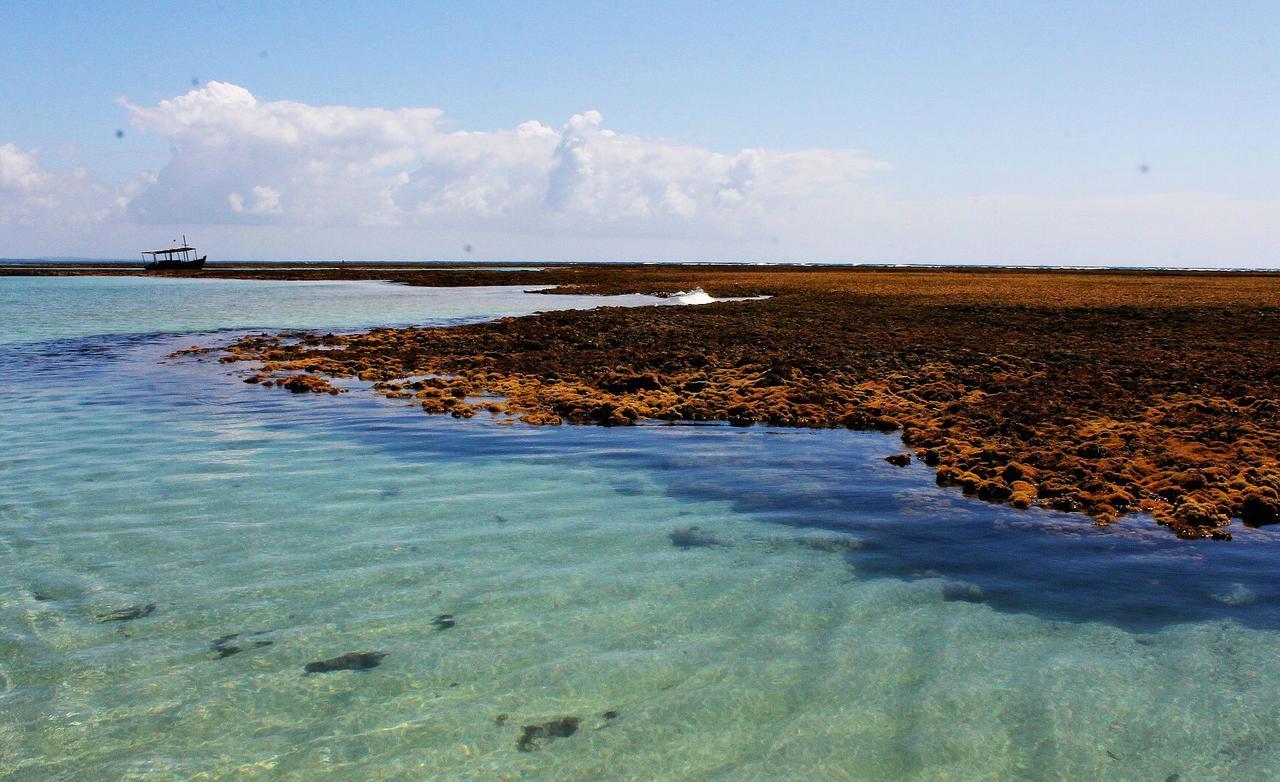 Pousada Casanossa Boipeba Island ภายนอก รูปภาพ