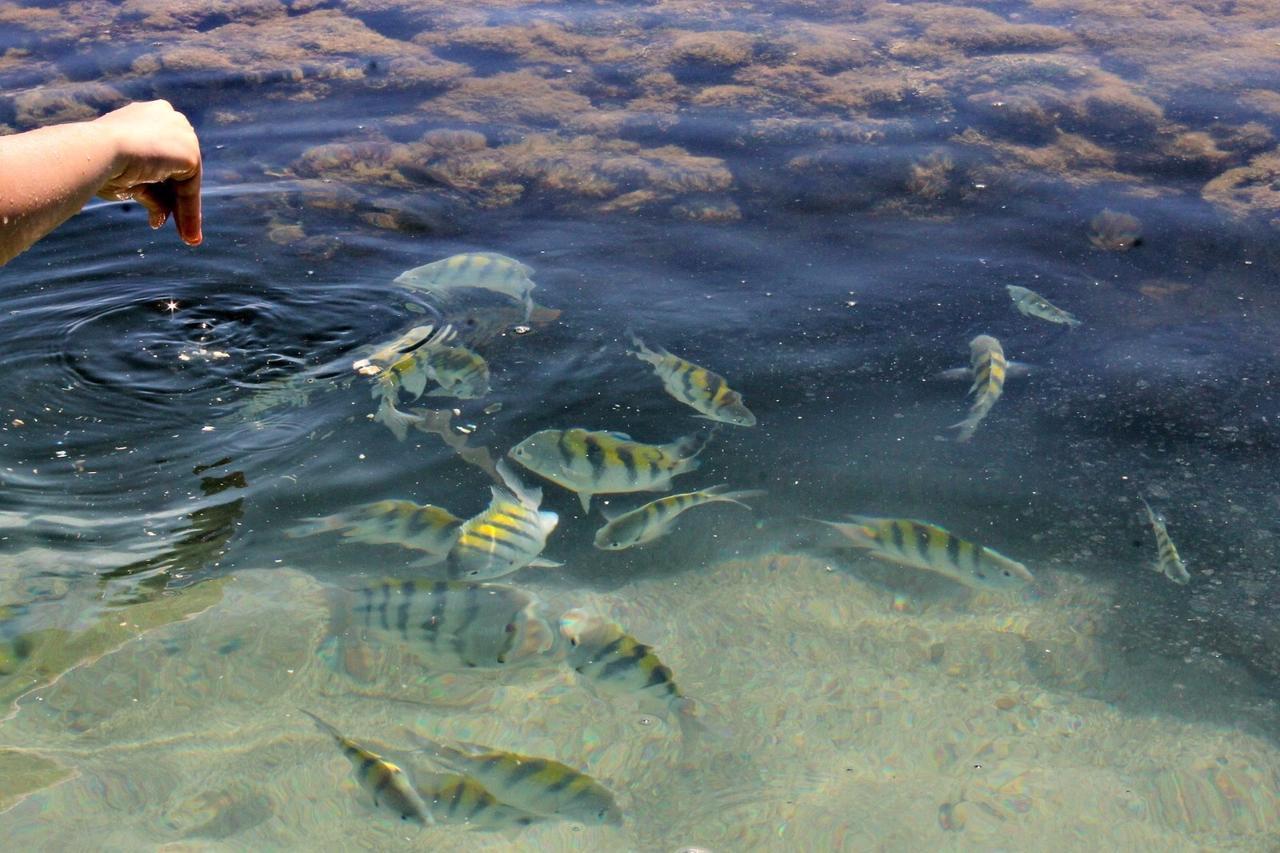 Pousada Casanossa Boipeba Island ภายนอก รูปภาพ